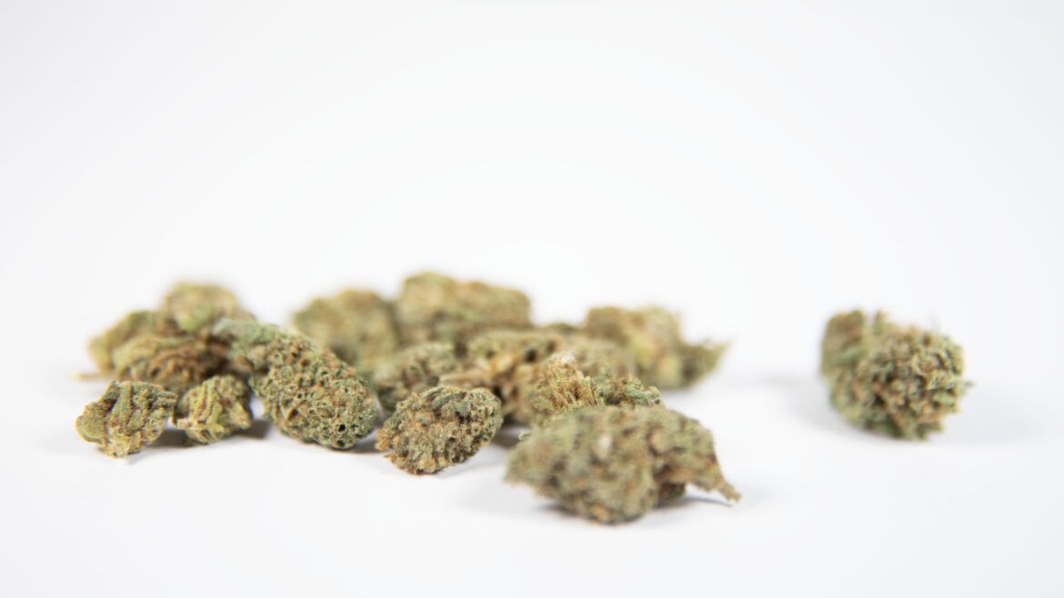 Springtime Strains: The Best Buds to Blaze as the Flowers Bloom