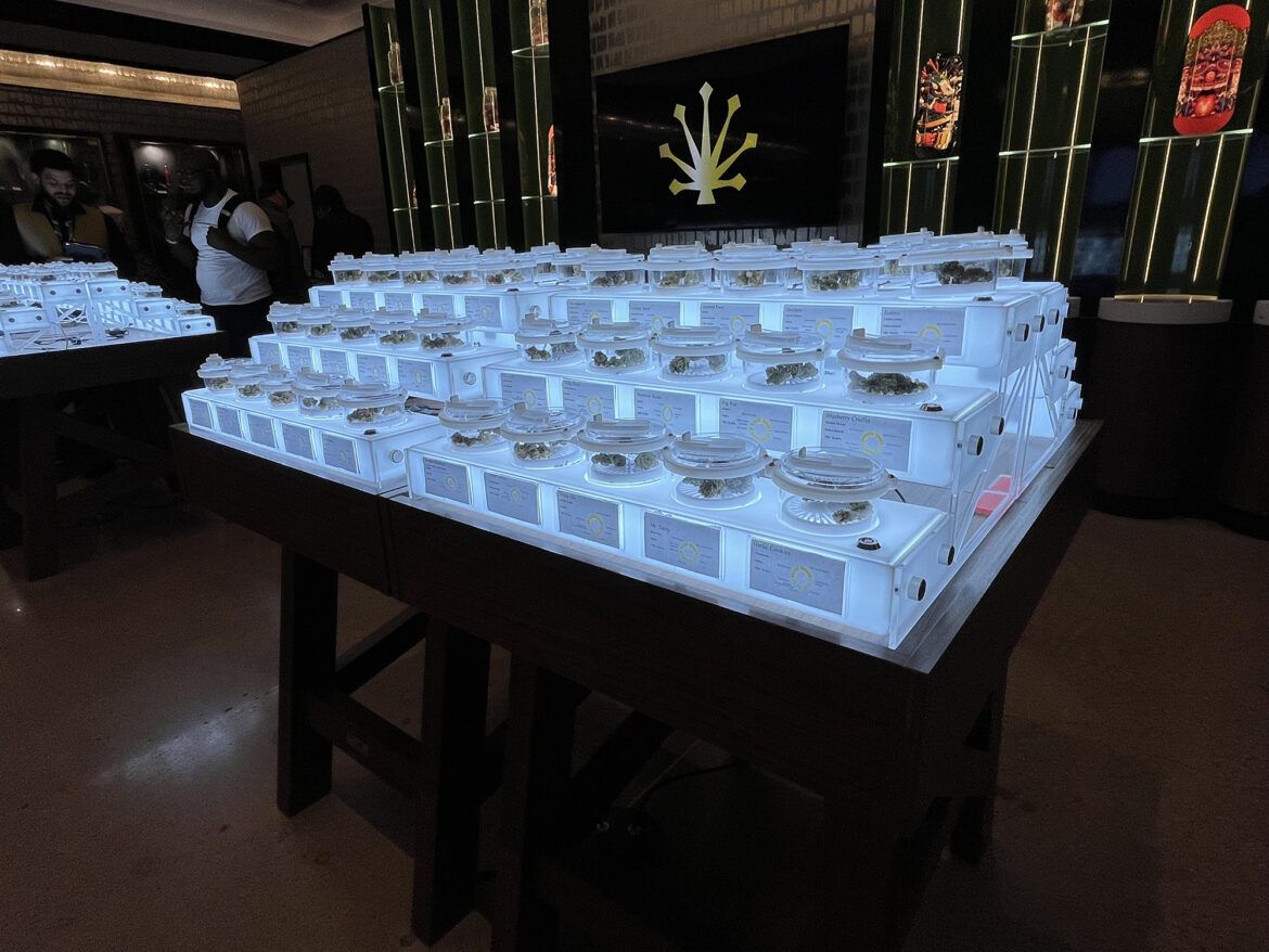 The Unsung Heroes of the Dispensary: Why a Knowledgeable Budtender Makes All the Difference